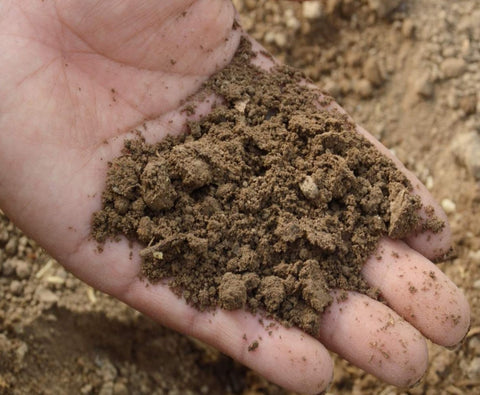 Sandy Soil - Quick Guide to UK Soil - Indoor Outdoors