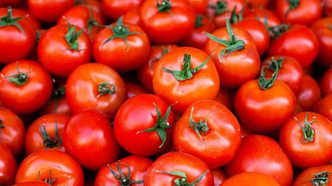 Tomatoes - UK Top Vegetables to Grow at Home