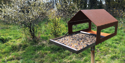 Bird Feeder in a UK garden