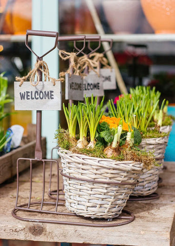 Baskets with bulbs and welcome sign