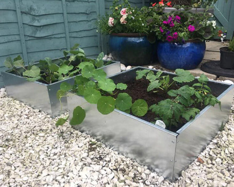 Vegetable Patch Galvanised Steel