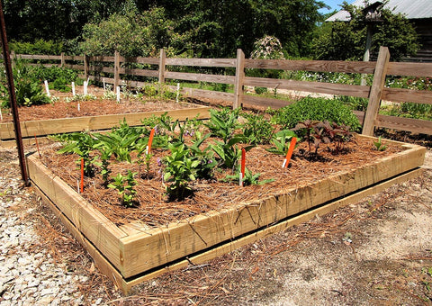 Raised Flower Bed with Plants and Markers