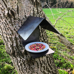 Bird Feeder mounted to a tree near a fence