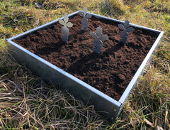 Bellamy Galvanised Steel Carrot Patch Markers - Indoor Outdoors