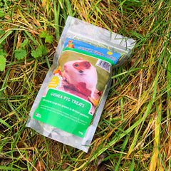 Jake's Farm Yard Guinea Pig Ryegrass Treats (100g Pack) - Indoor Outdoors