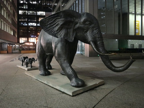 Elephant statues as decorative items