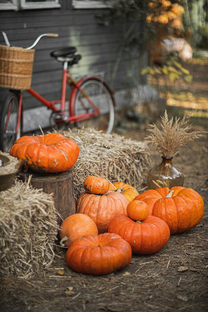 History behind thanksgiving