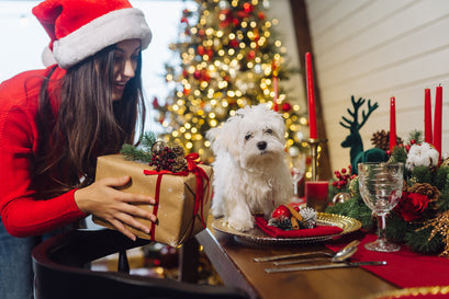 Decorating for a Pet-Inclusive Christmas