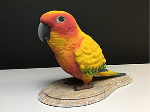 Parrot Pet Memoir 