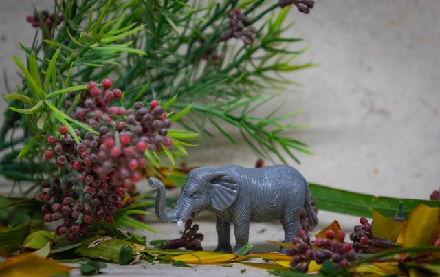 Elephant mini figurine near plants.