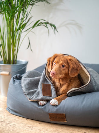 Cozy bed and blanket for your dog