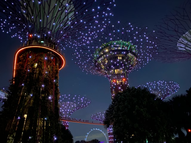 Tree Lighting Ceremony