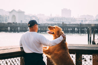 Human and dog bond