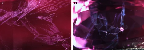 Alexandrite Inclusions