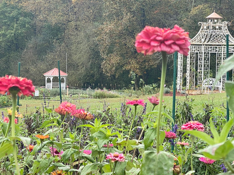 garden with gazebo