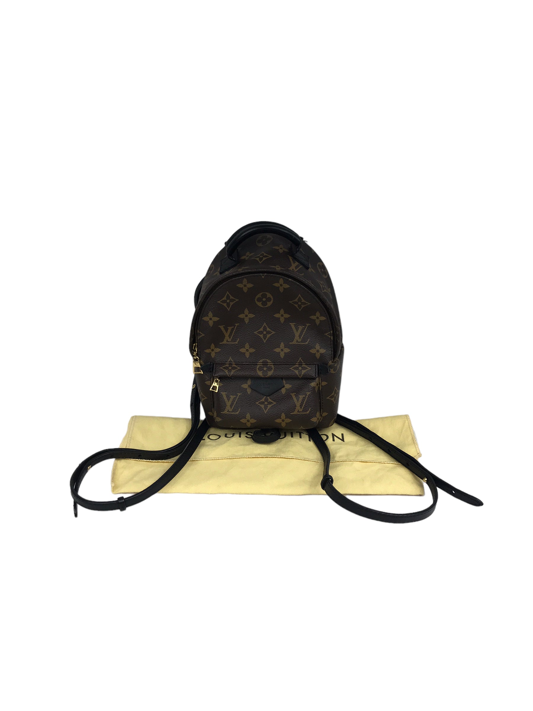 Louis Vuitton Palm Spring Mini Backpack Monogram Canvas GHW