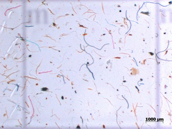 Plastic Microfibres Ocean