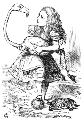 drawing of Alice holding a bird under her arm while a hedgehog is curled up like a ball at her feet.