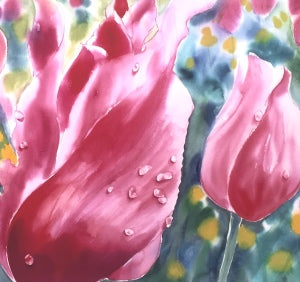 Close-up of pink tulips with droplets of water on them. There is a blurry background behind them.
