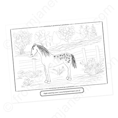 Horse Coloring Book for Girls Ages 8-12: Coloring Pages for Kids