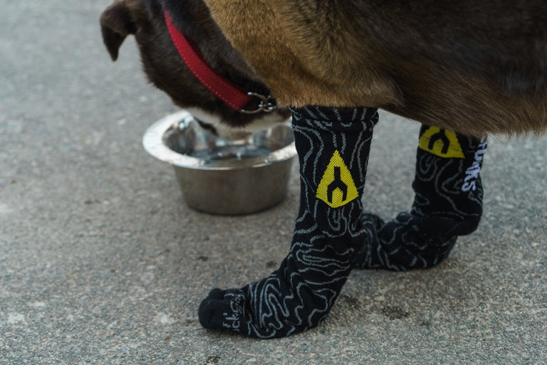 pinkbike socks