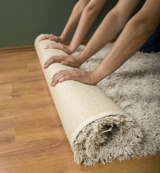 Adding rug to wood floor