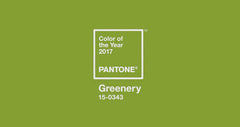 color of the year 2017 pantone greenery