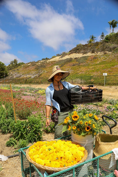 BeeWorthy Flower Farm San Diego harvest