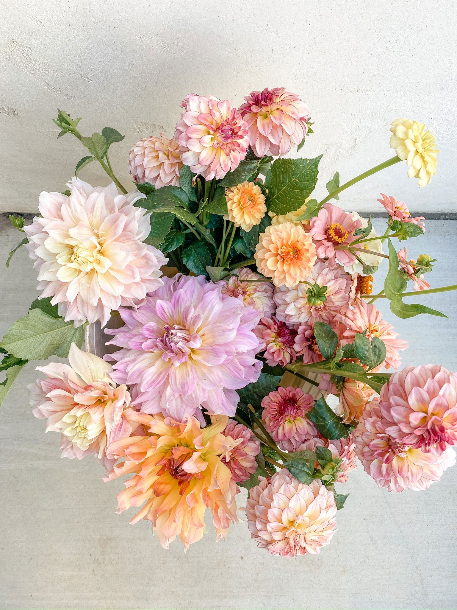 Locally Grown Flowers - Dahlias from Cielo Hills Flowers