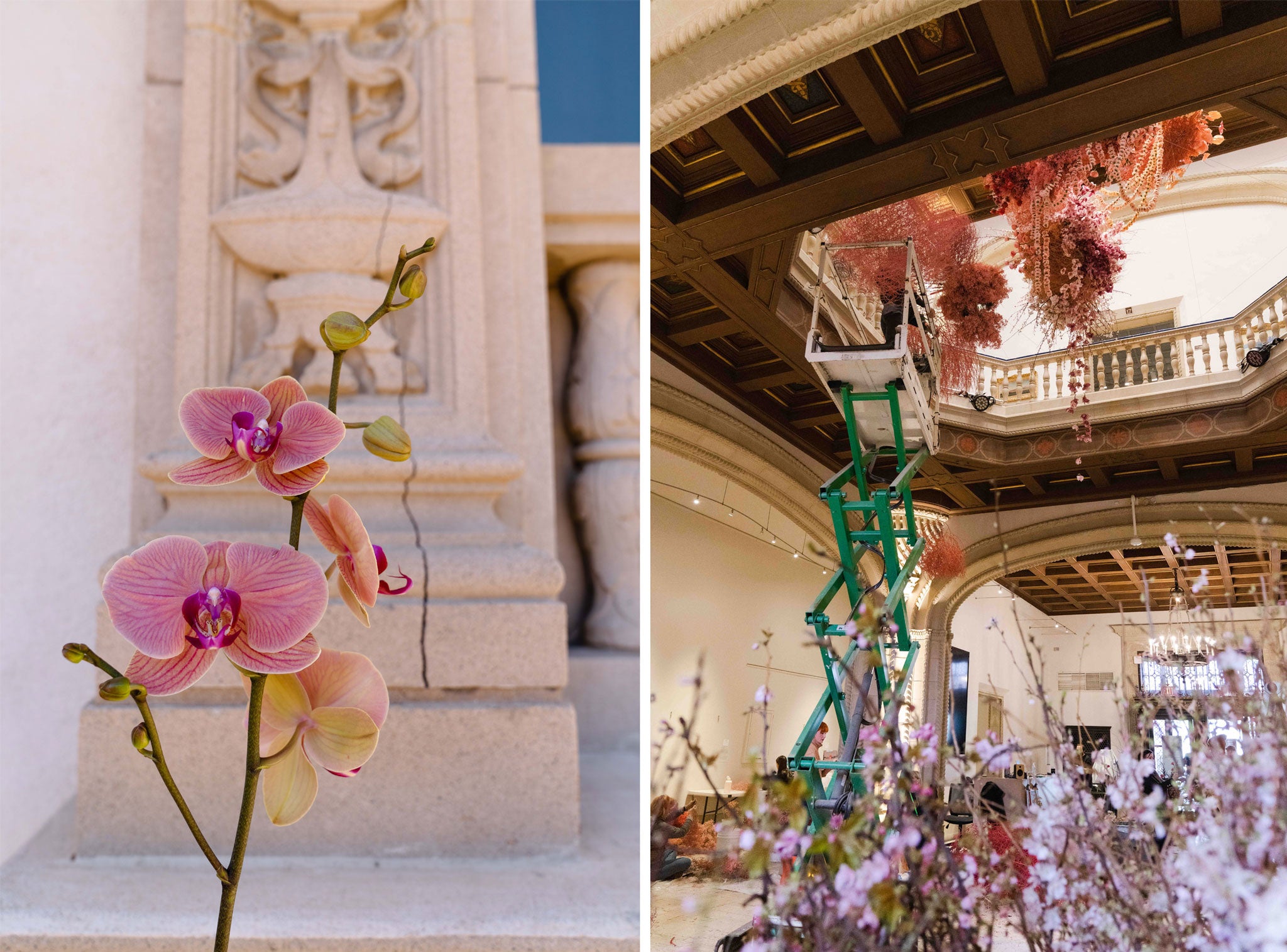 Orchids in front of San Diego Museum of Art and scissor lift in art museum