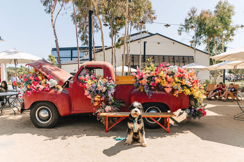 Native Poppy retail floral install at One Paseo