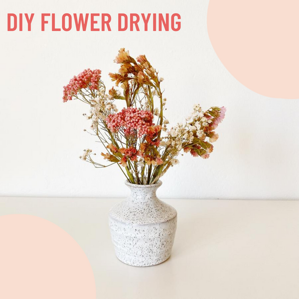 natural dry flowers poppy dried real