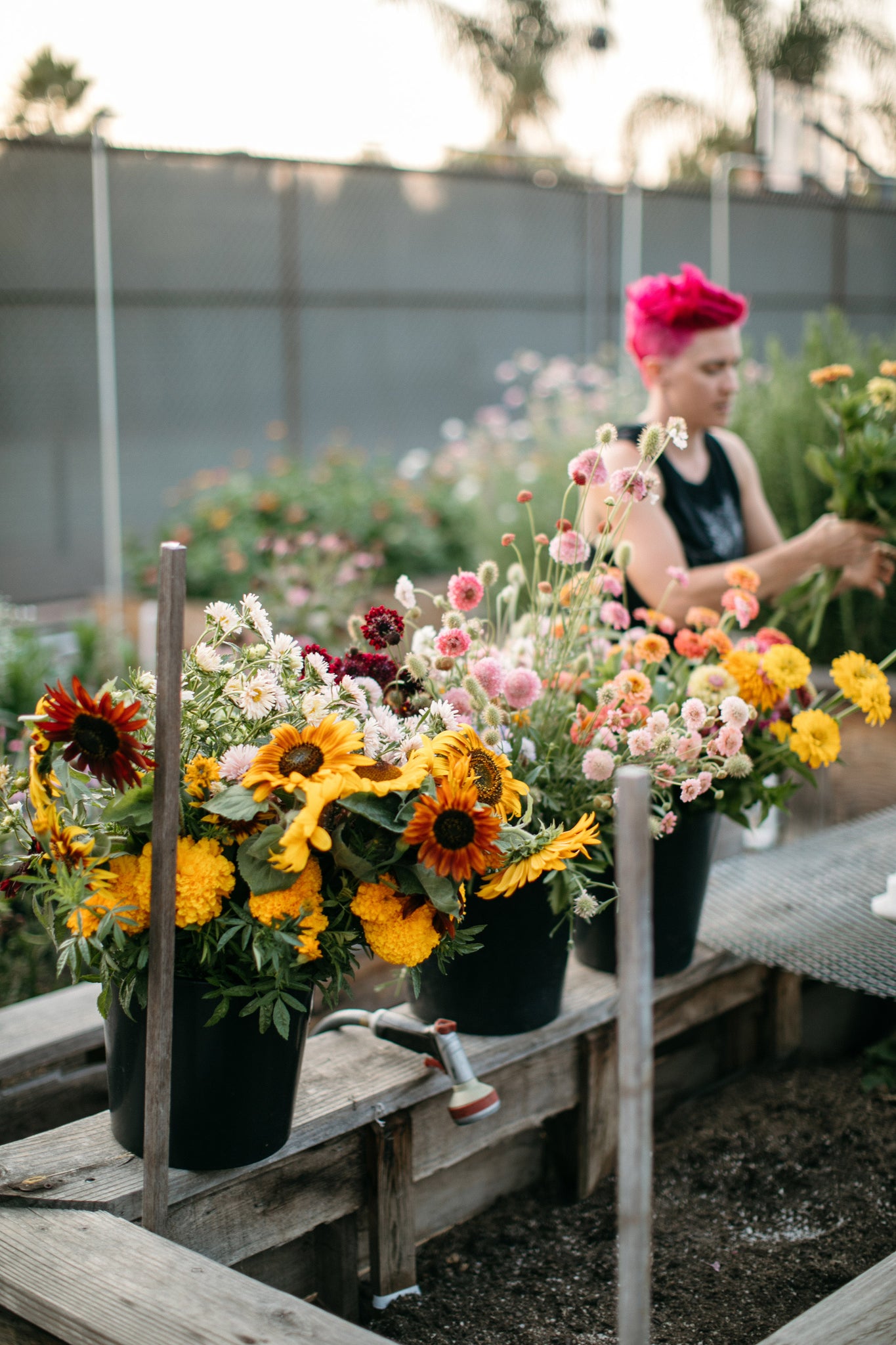 Buckets of flowers from Native Poppy's garden