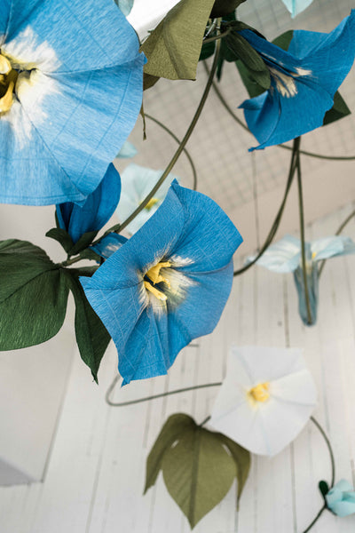 Morning Glory art install San Diego flower shop