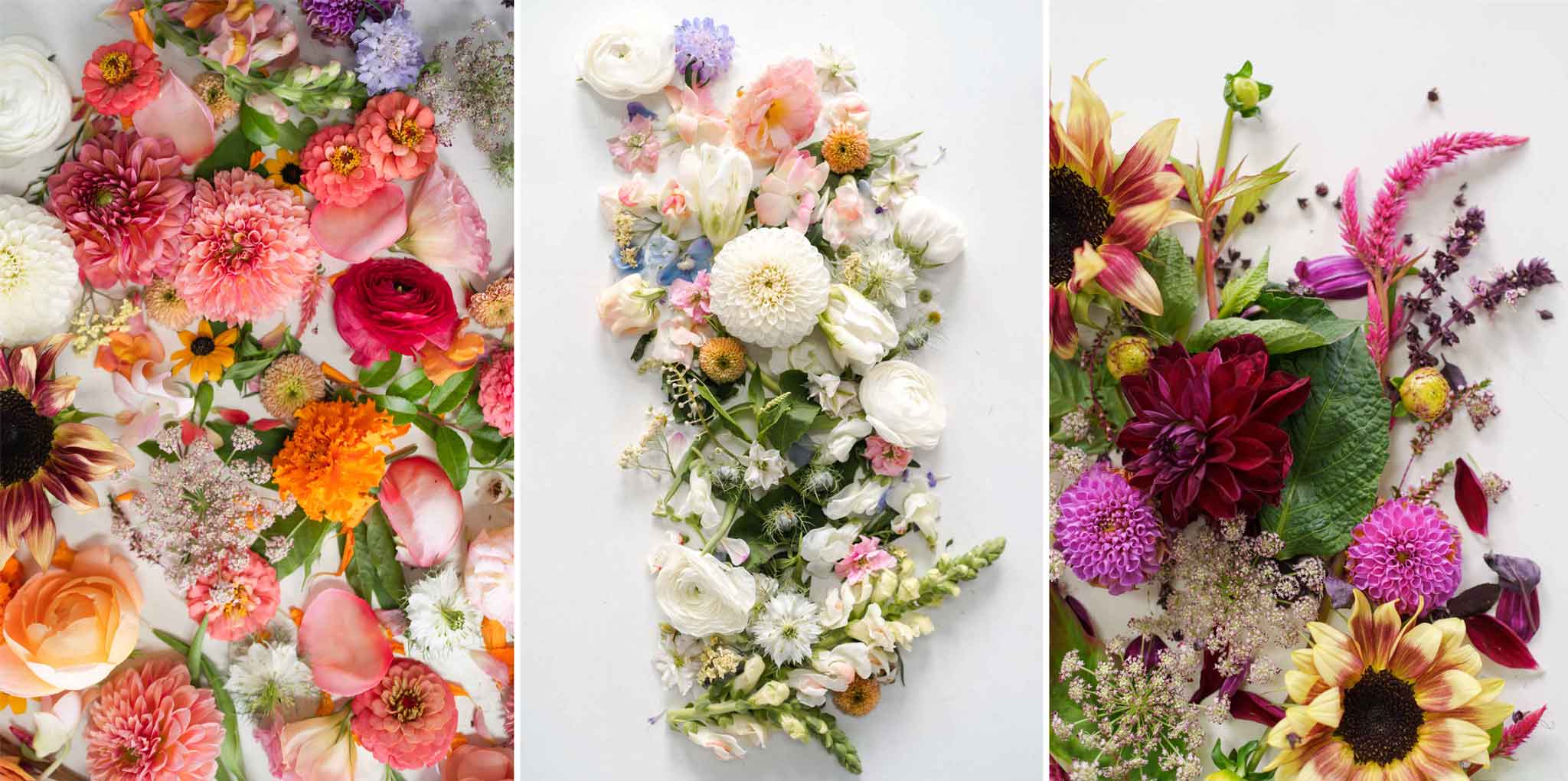 floral color palette options for wedding flowers