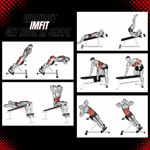 IMFit IMgadgets Workout Bench