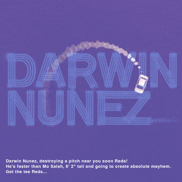 Darwin Nunez grey t-shirt