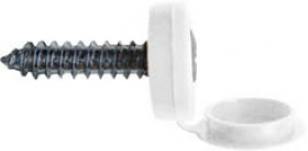 white number plate screw