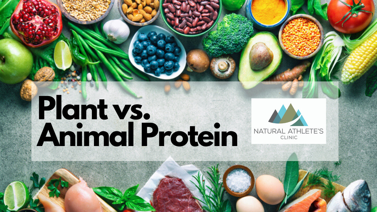 Video Plant Based Protein Vs Animal Based Protein Biochemical Dif