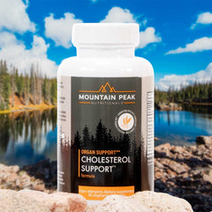 best natural cholesterol support supplement