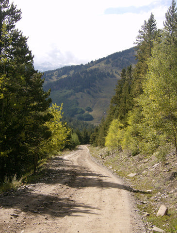 Ptarmigan Pass