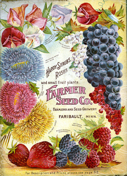 Vintage Seed Catalog - Reprint: Cover Of Farmer Seed Company Plant & S 
