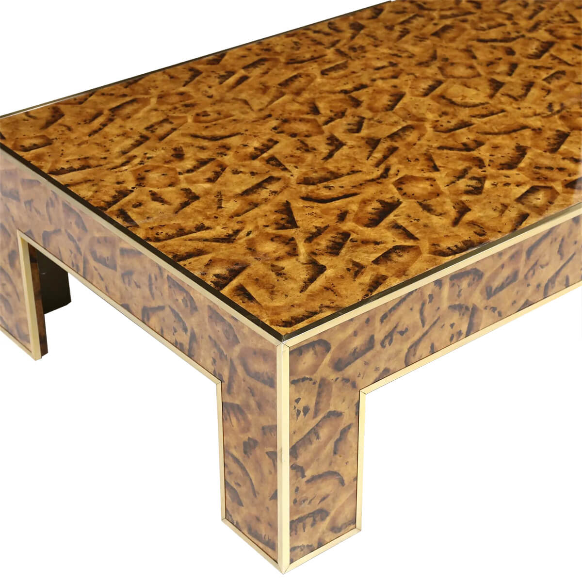 Faux Tortoise Shell Coffee Table - Image 3
