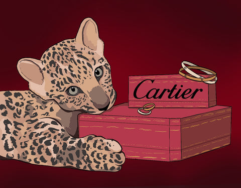 cartier brand image