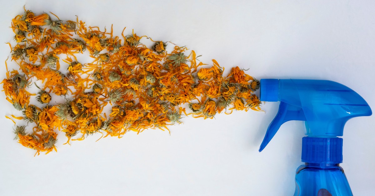 An essential oil spray bottle with a collection of dried flowers arranged to look like they're being sprayed from the bottle.