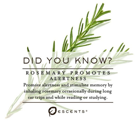 rosemary essential oil benefits