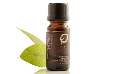 Tea tree essential oil Escents Aromatherapy