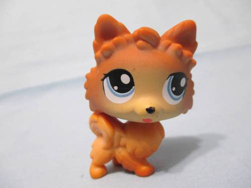 littlest pet shop pomeranian