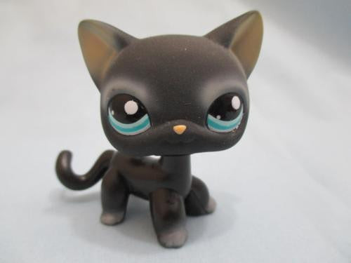 littlest pet shop shorthair cat