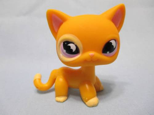 littlest pet shop shorthair